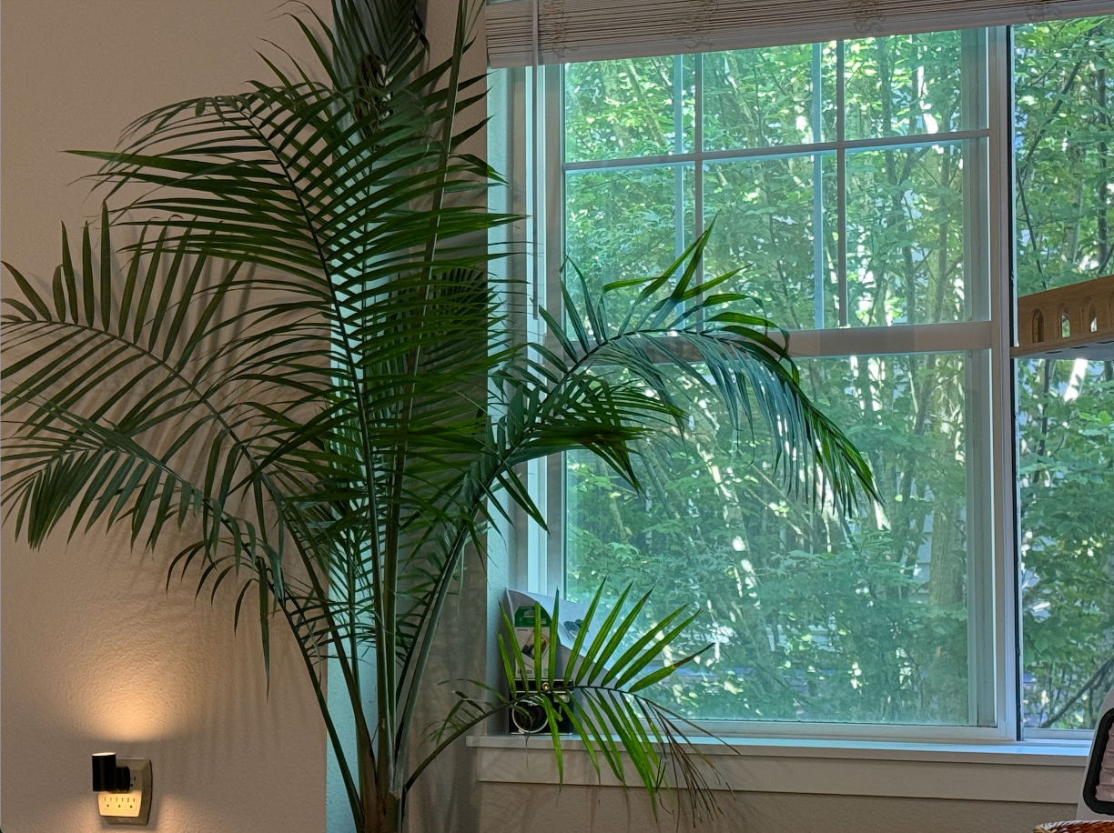 Plants