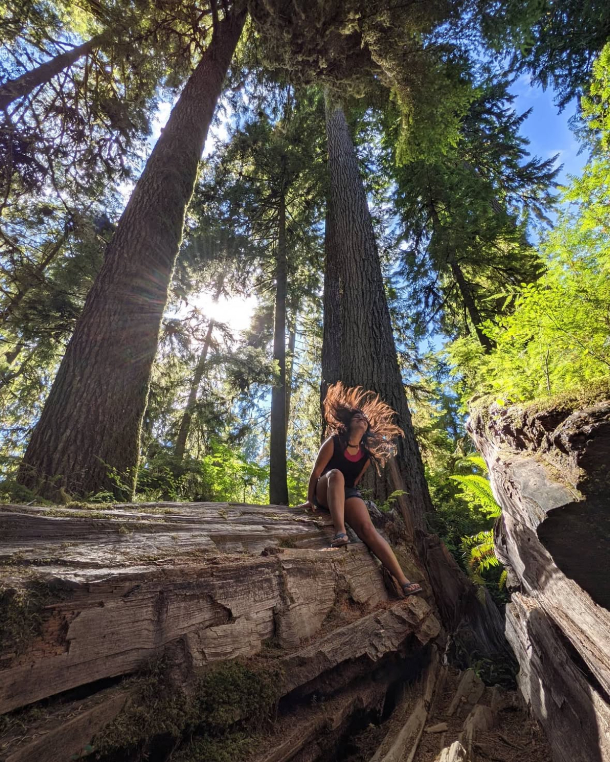 Backpacking & Trails
